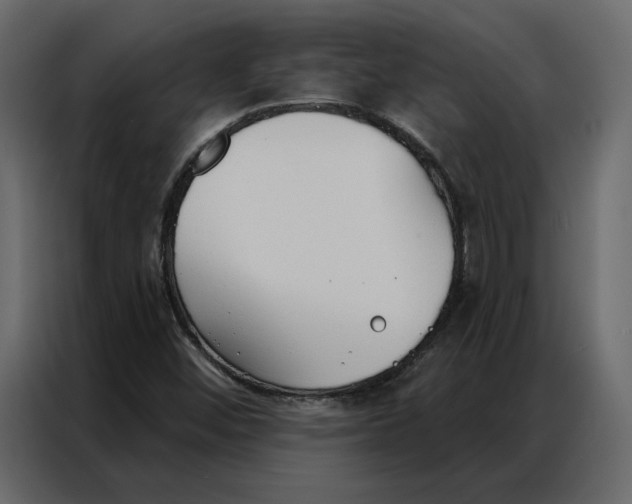 X0000086901452200705071234