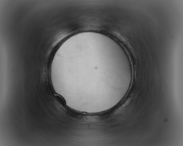 X0000086901453200705071234