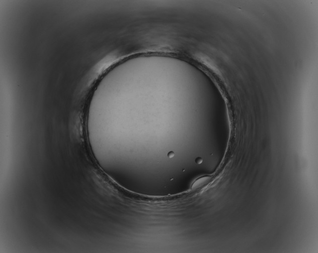 X0000086901455200705071234