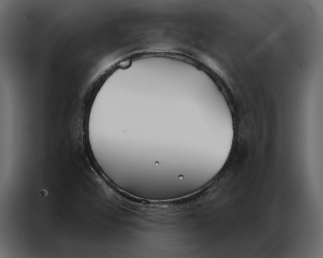 X0000086901456200705071234