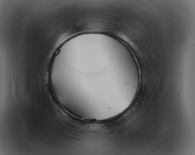 X0000086901459200705071233