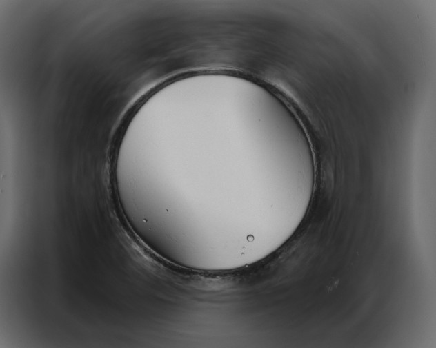 X0000086901460200705071233