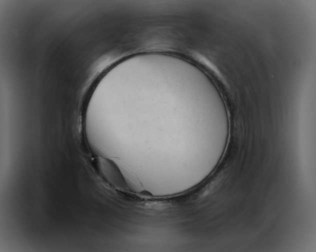 X0000086901461200705071233