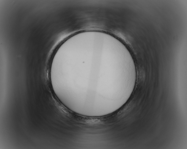 X0000086901462200705071233