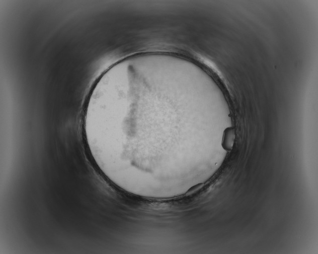 X0000086901463200705071233