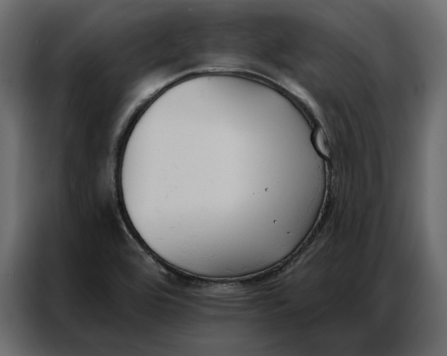 X0000086901464200705071233