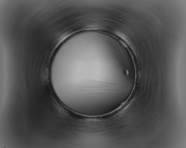 X0000086901465200705071233