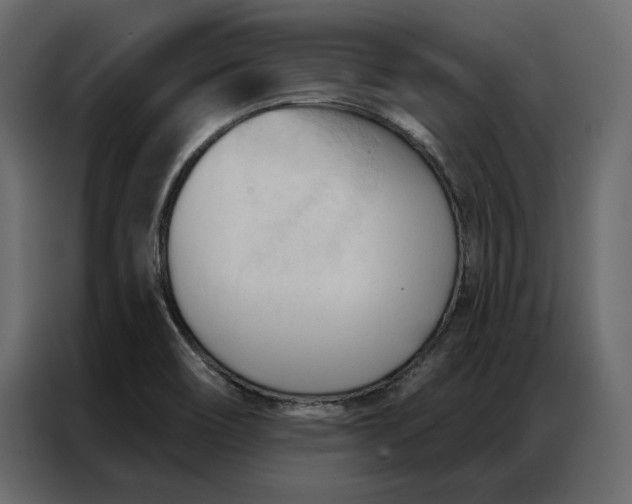 X0000086901466200705071233