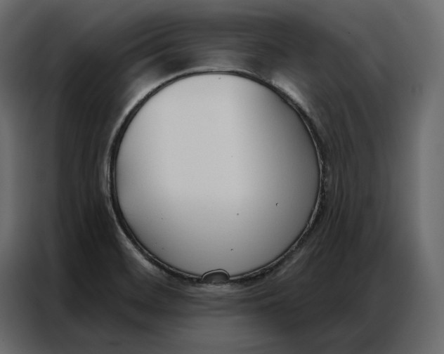 X0000086901468200705071233