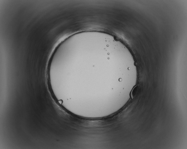 X0000086901471200705071233