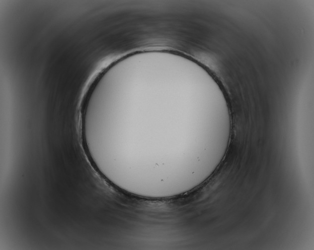 X0000086901472200705071233