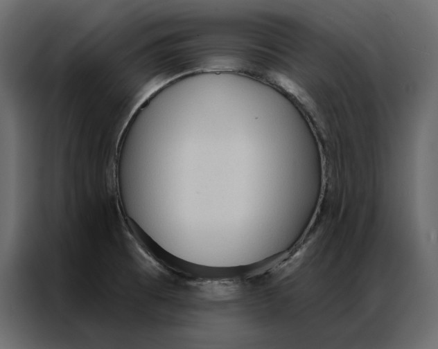 X0000086901473200705071233