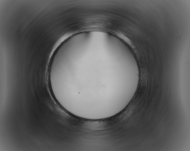 X0000086901474200705071233