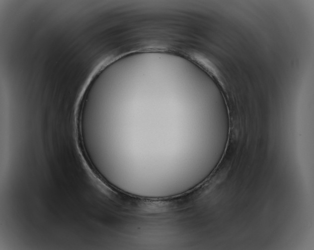 X0000086901475200705071233