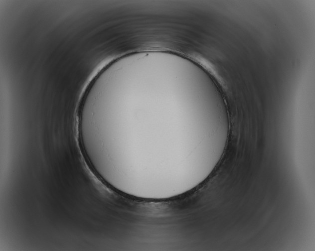 X0000086901476200705071233