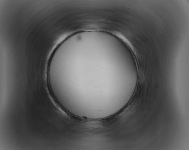 X0000086901477200705071233