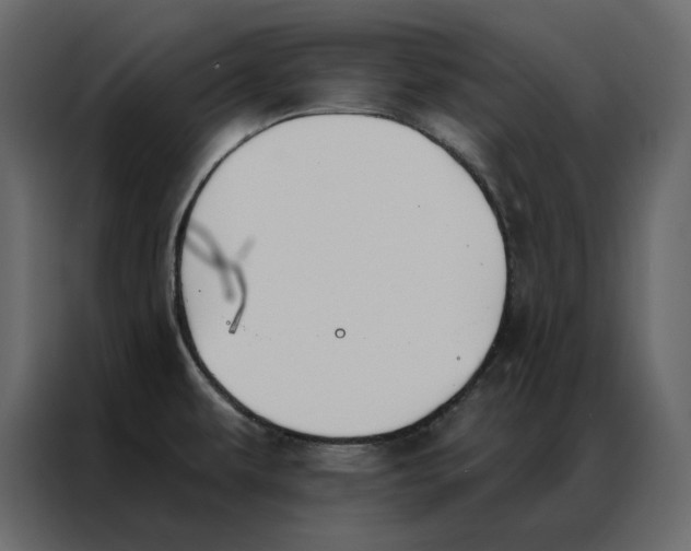 X0000086901479200705071233