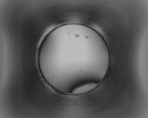 X0000086901480200705071233