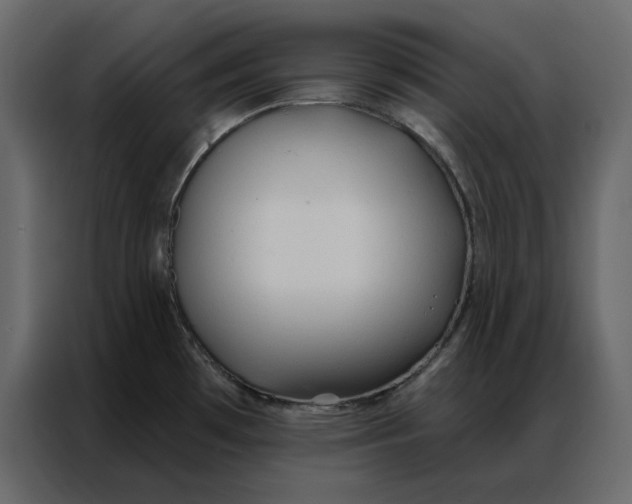 X0000086901481200705071233