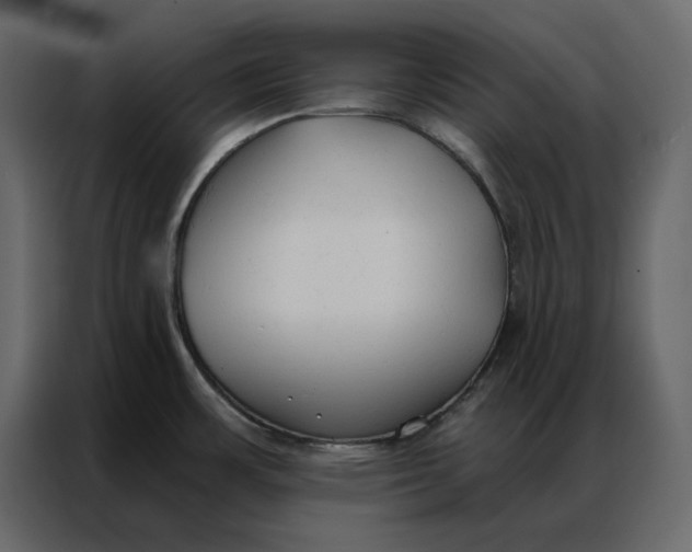 X0000086901483200705071233