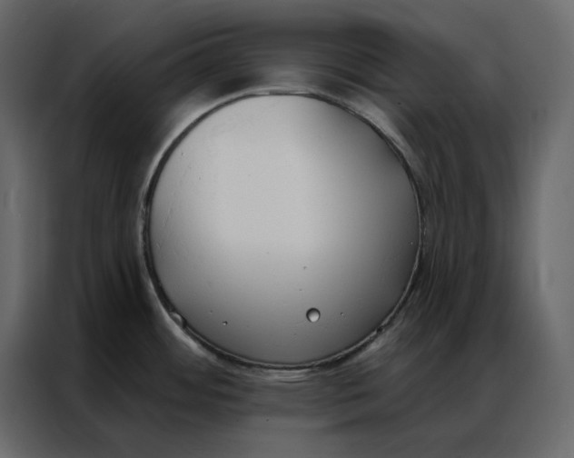 X0000086901484200705071233