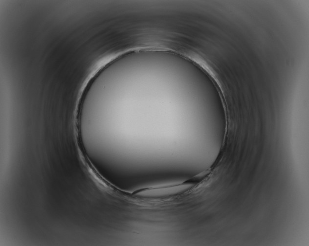 X0000086901485200705071233