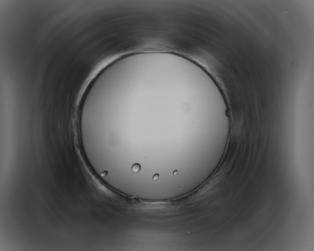 X0000086901486200705071233