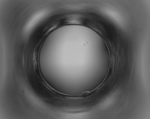 X0000086901487200705071233