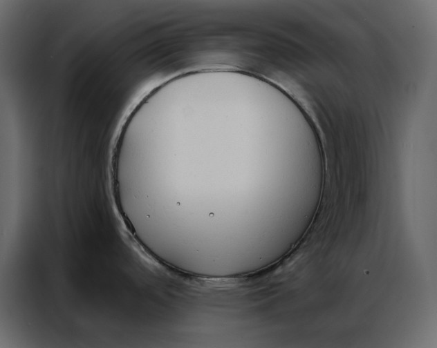 X0000086901488200705071233