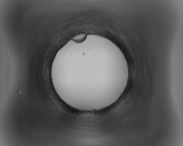 X0000086901489200705071232