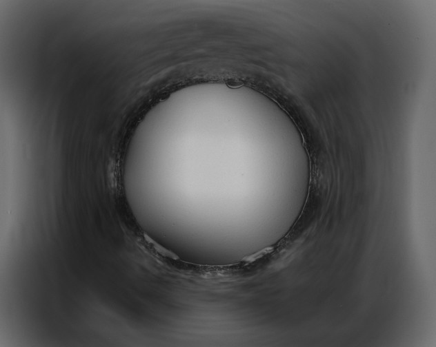 X0000086901490200705071232