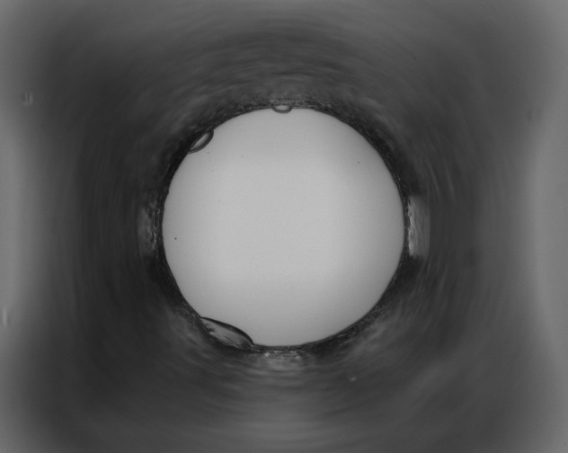 X0000086901491200705071232