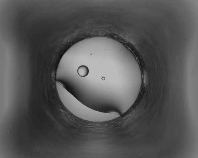 X0000086901492200705071233