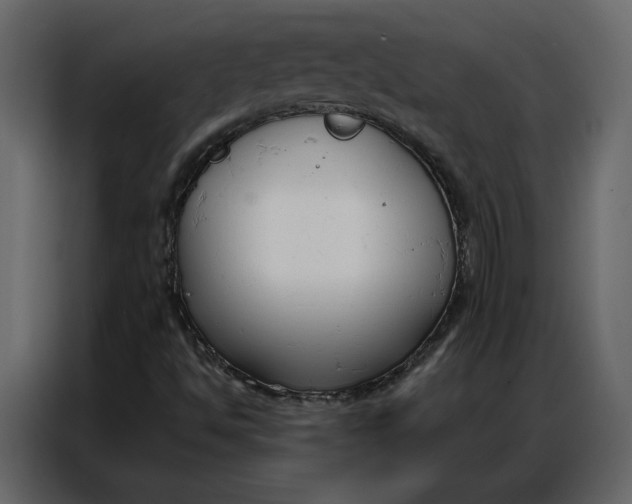 X0000086901494200705071233