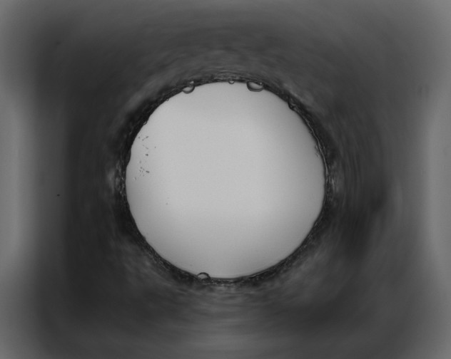 X0000086901495200705071233