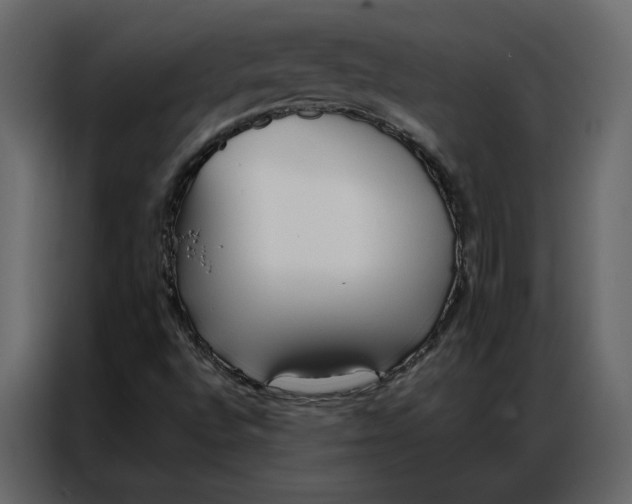 X0000086901496200705071233