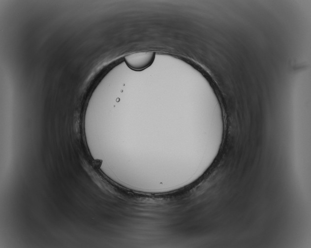 X0000086901499200705071233