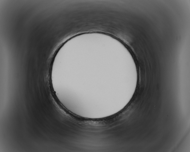 X0000086901500200705071233