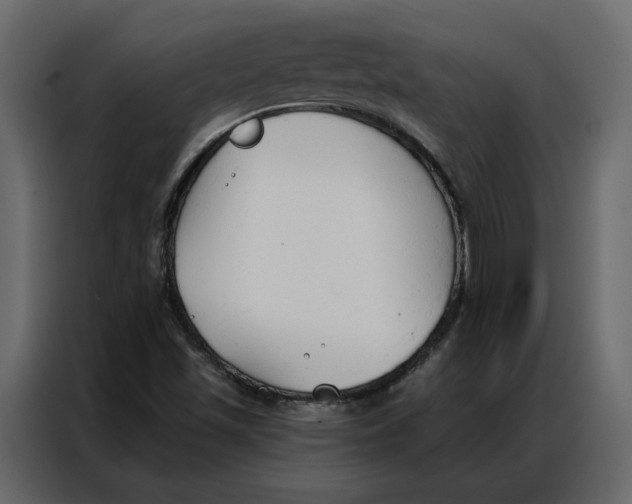 X0000086901501200705071233