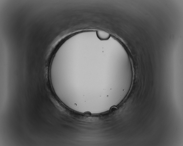 X0000086901503200705071233