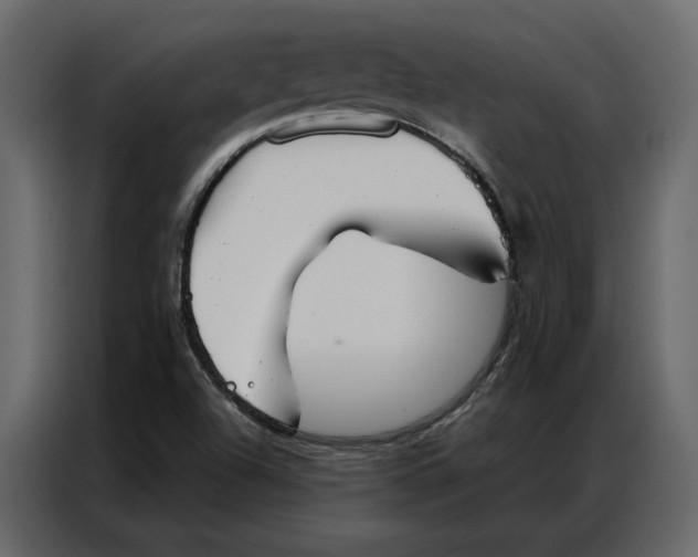 X0000086901504200705071233