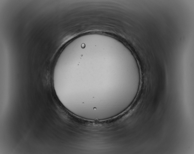 X0000086901505200705071233