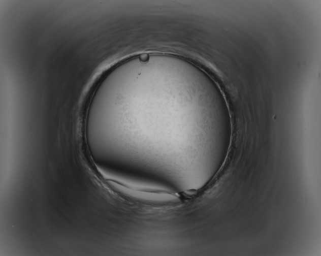 X0000086901506200705071233