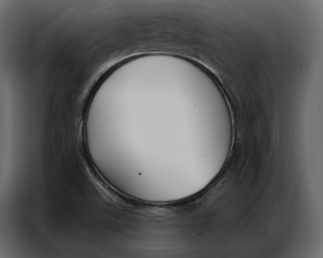 X0000086901507200705071233