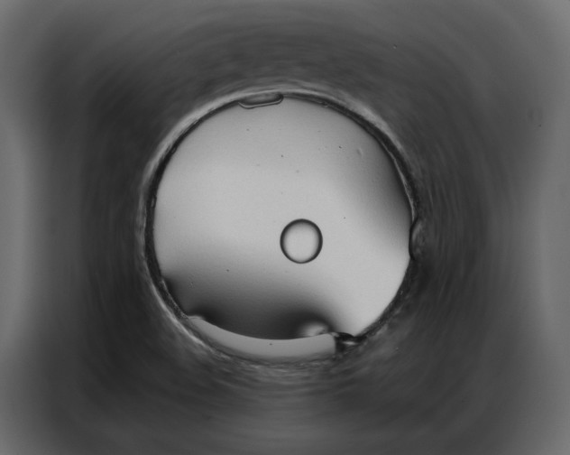 X0000086901508200705071233