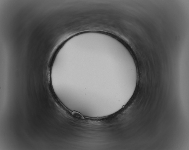 X0000086901509200705071233