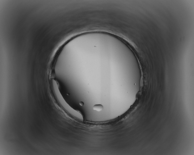 X0000086901510200705071233