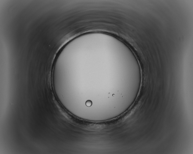 X0000086901513200705071233