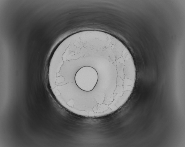 X0000086901514200705071233