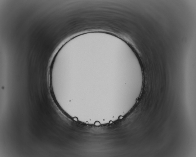 X0000086901516200705071233